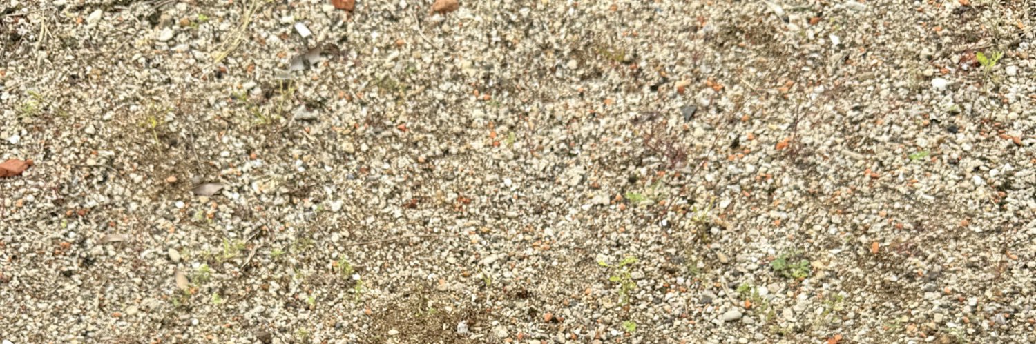 🐝 banner