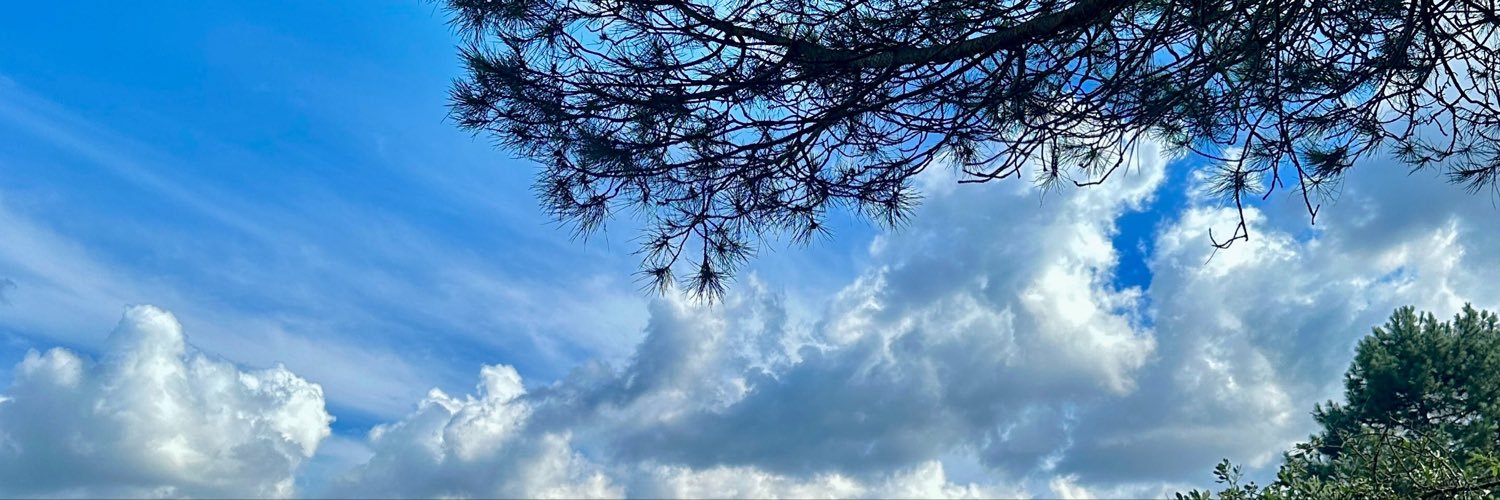 xireeemm's profile banner image