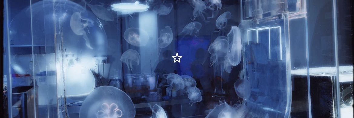 yalwaysm_'s profile banner image