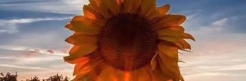4:13 banner