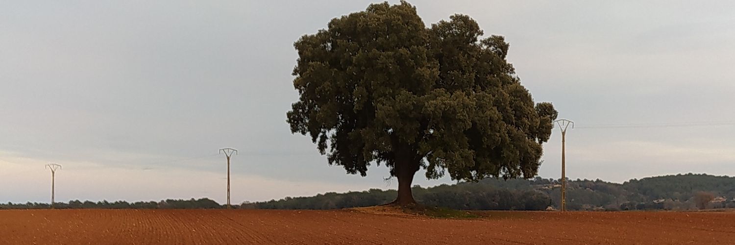 quimdouser's profile banner image