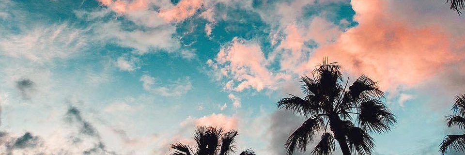 LaraQG18's profile banner image