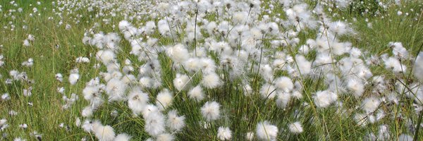 MateuszStolarc6 Profile Banner