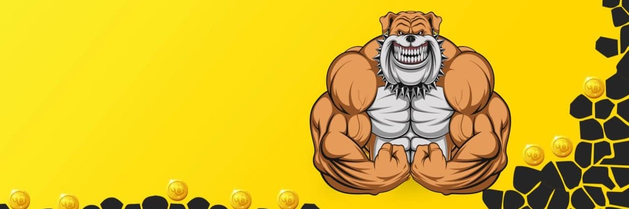 RulerCoin's profile banner image