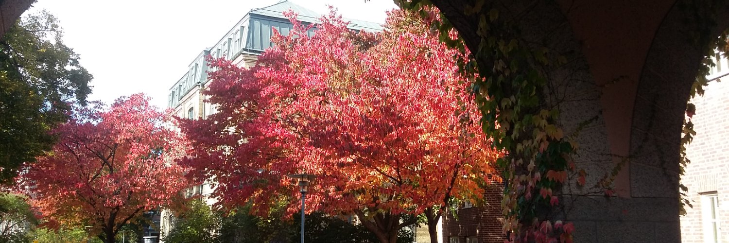 Cindy L. Urueña banner