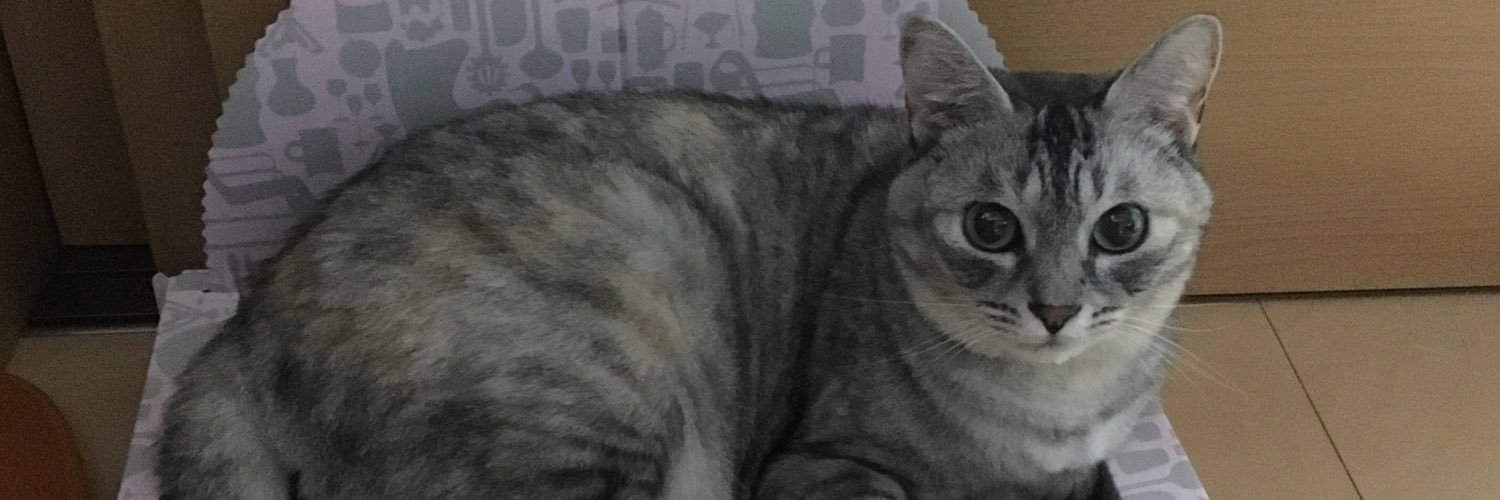 mimikiyopy's profile banner image