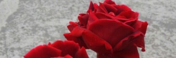 _4il9's profile banner image