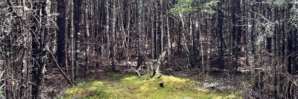 furandplants Profile Banner