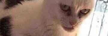 Anonymousv2s's profile banner image