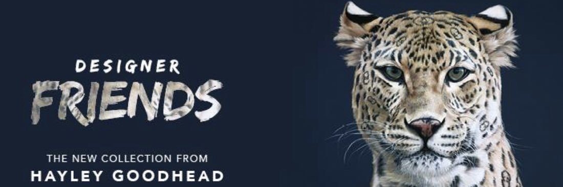 HayleyGoodhead's profile banner image
