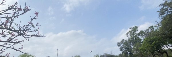 mtfyoungboy Profile Banner