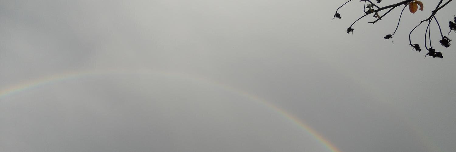 gerimcc's profile banner image