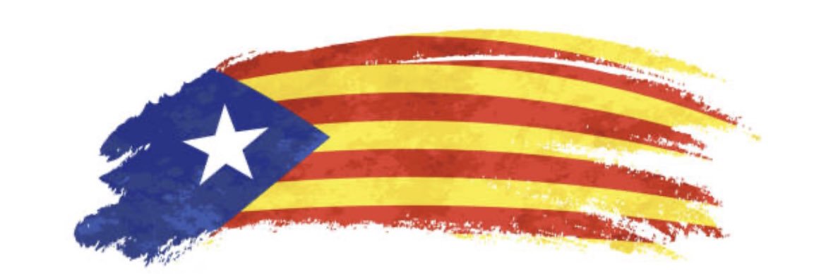 Imma Gallardo banner