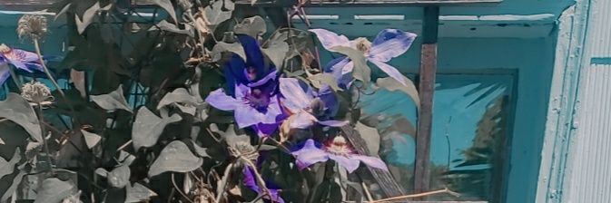 Kaynight25's profile banner image
