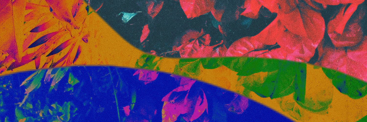 Chad Dolan banner