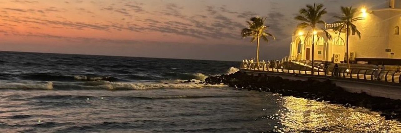 🪷 banner