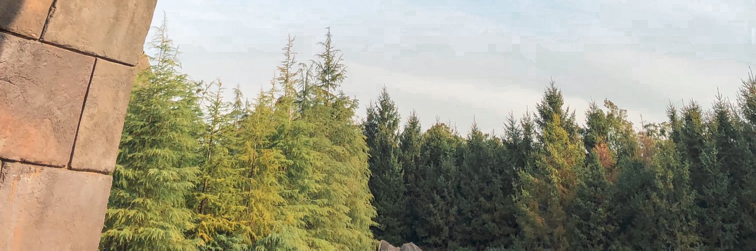 𝓭 banner