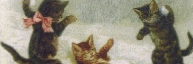 eve banner