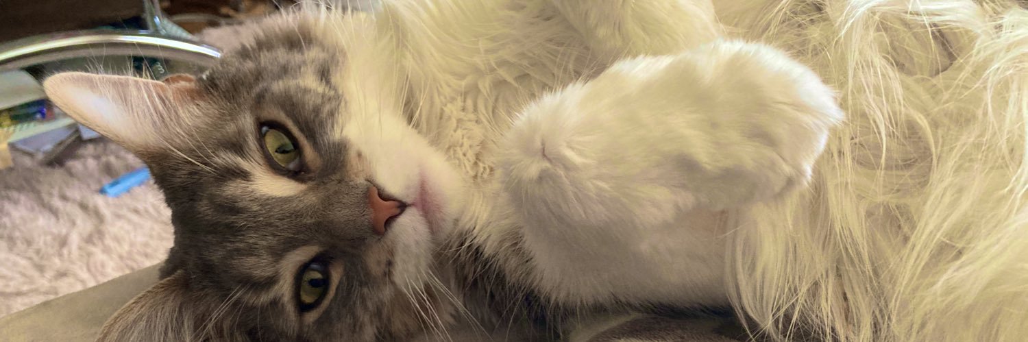 chaterrant_'s profile banner image