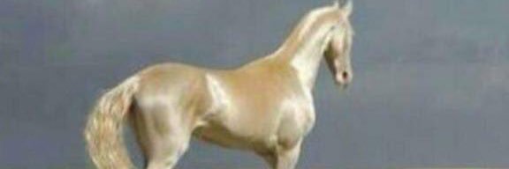 atyafabdullah's profile banner image