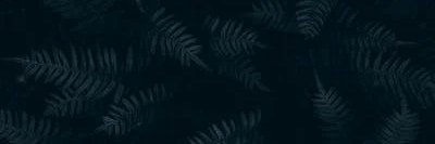 hort236's profile banner image