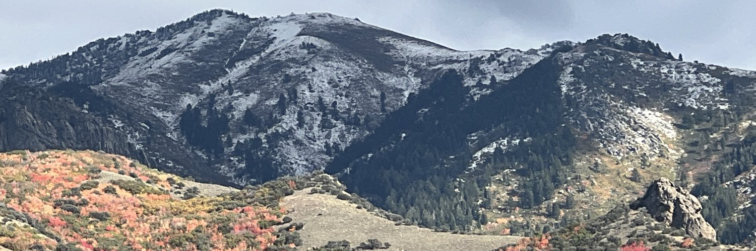 freewillmjc's profile banner image