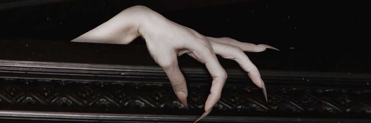 dreamzz banner