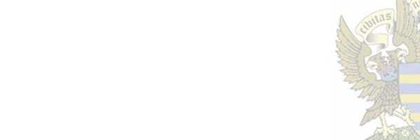 Salisburymayor Profile Banner