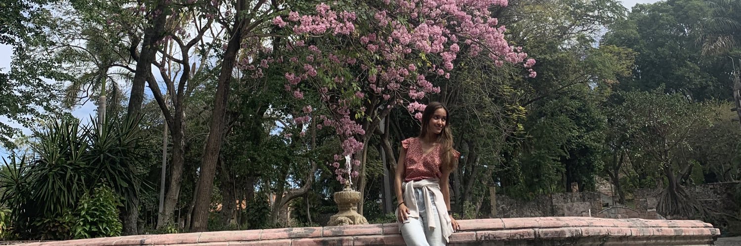 burbujitarosa's profile banner image