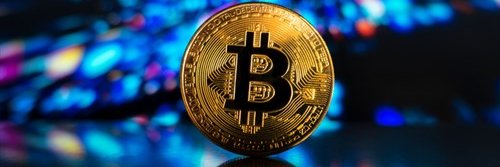 collinale ssandra banner