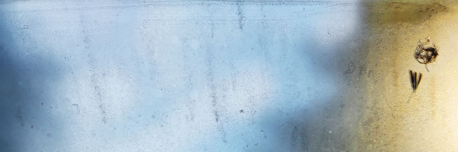 Ver banner
