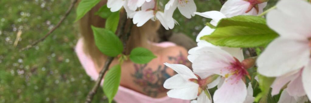 Nancyasv's profile banner image