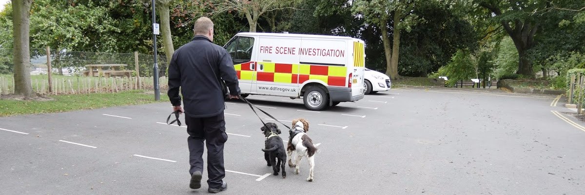 CDDFRSFireDog's profile banner image