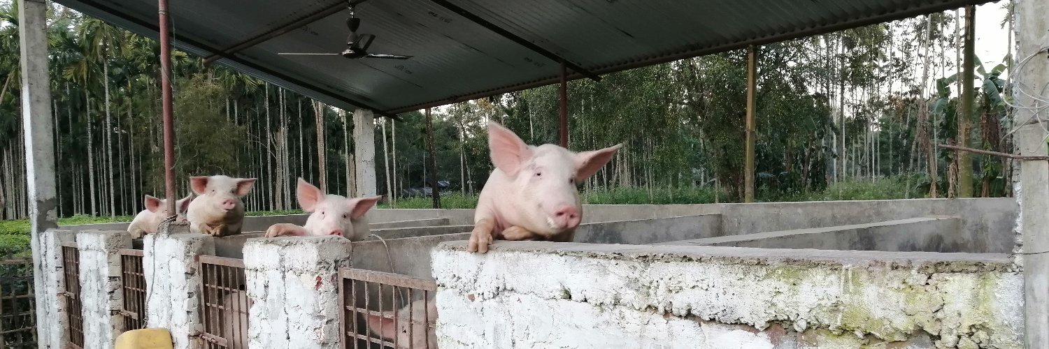 All Assam Pig Farmers Association banner
