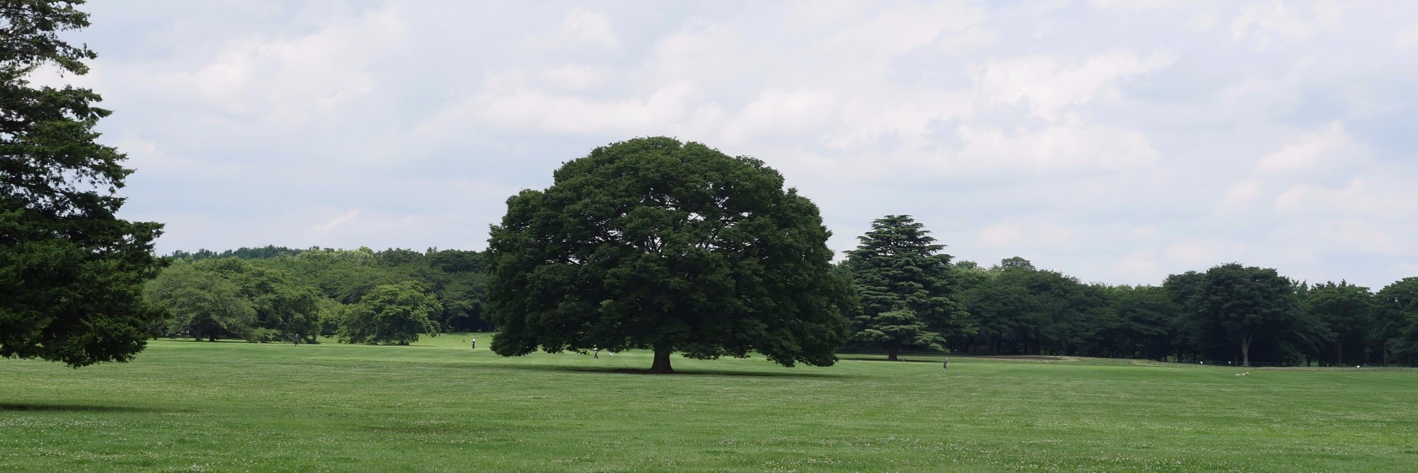 a_dobashi's profile banner image