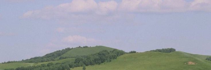 chia banner
