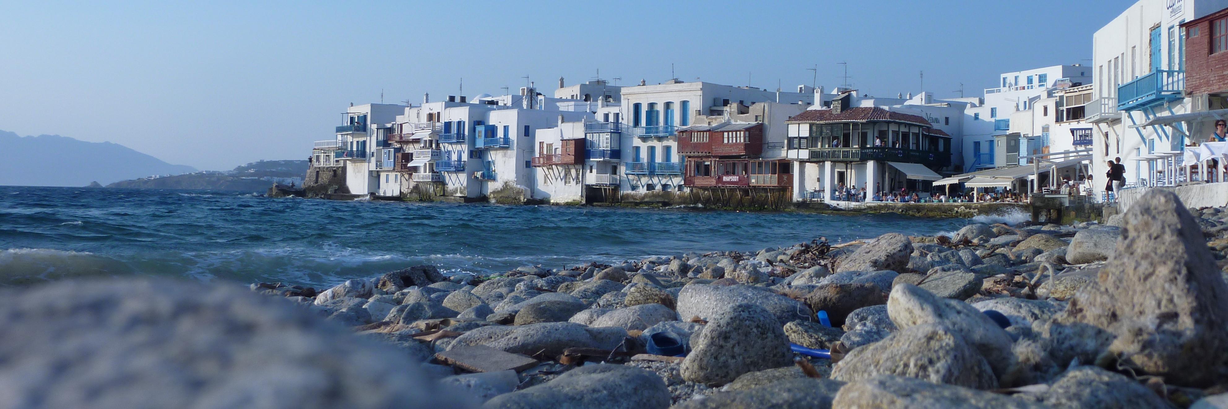 IMARoostàr🐓 banner