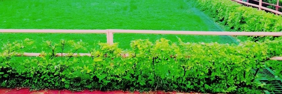 SamuelS63637868's profile banner image