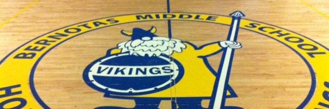 BernotasVikings's profile banner image