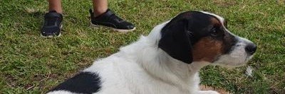 MoreiraGeorges3's profile banner image