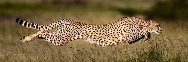 smshashiprasad Profile Banner