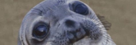 timano__'s profile banner image