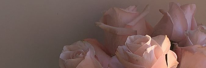haru_shifa's profile banner image