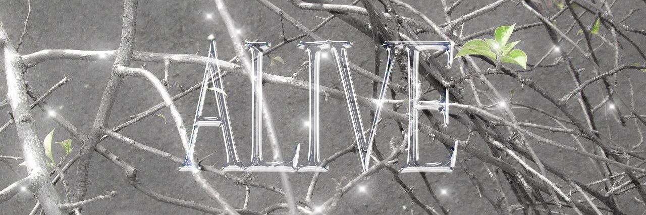 purityisyou's profile banner image