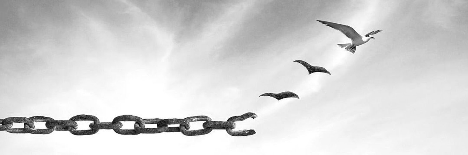 DailyHizmet's profile banner image