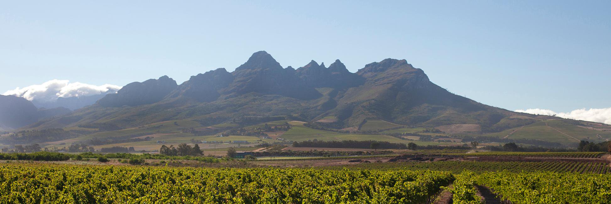 WineryGoodHope's profile banner image