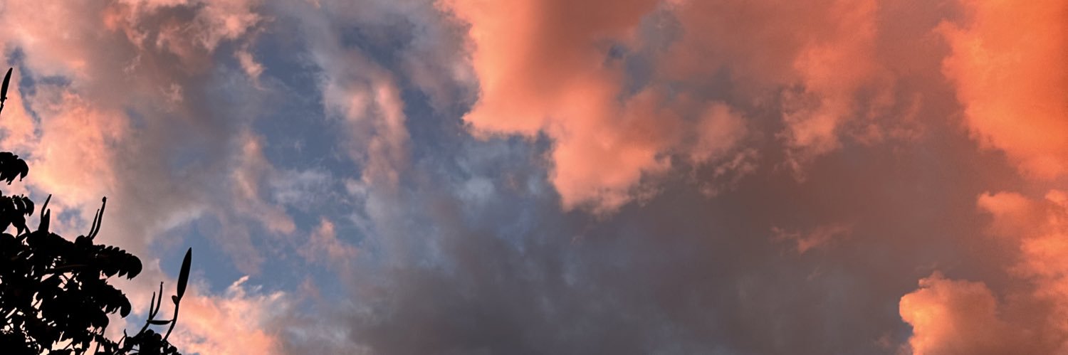 vale_armenta's profile banner image