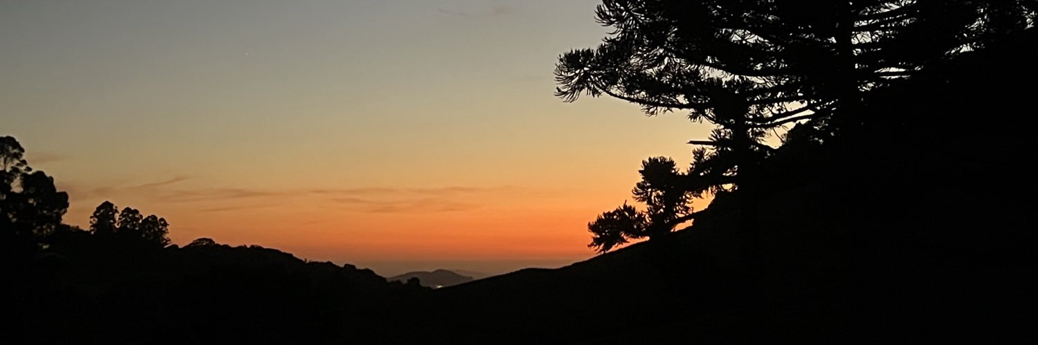 Edu só Edu banner