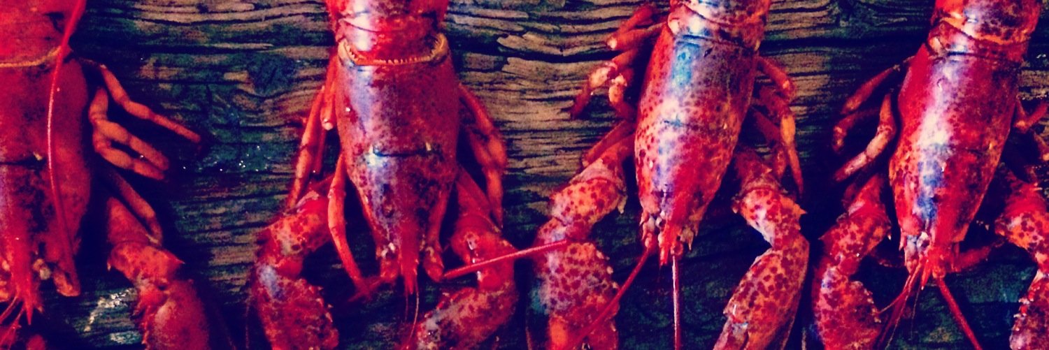 Zafvino's profile banner image