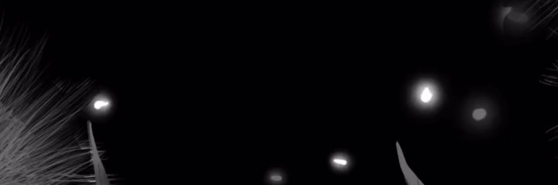 ayuprabhandari's profile banner image